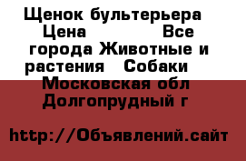Щенок бультерьера › Цена ­ 35 000 - Все города Животные и растения » Собаки   . Московская обл.,Долгопрудный г.